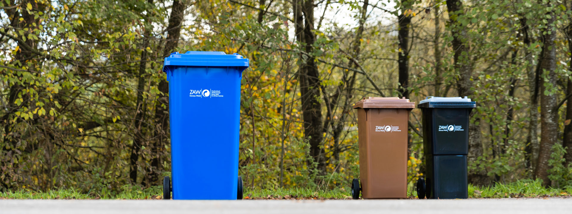 Bannerbild, Restmülltonne, Biotonne und Papiertonne stehen nebeneinander Bannerbild
