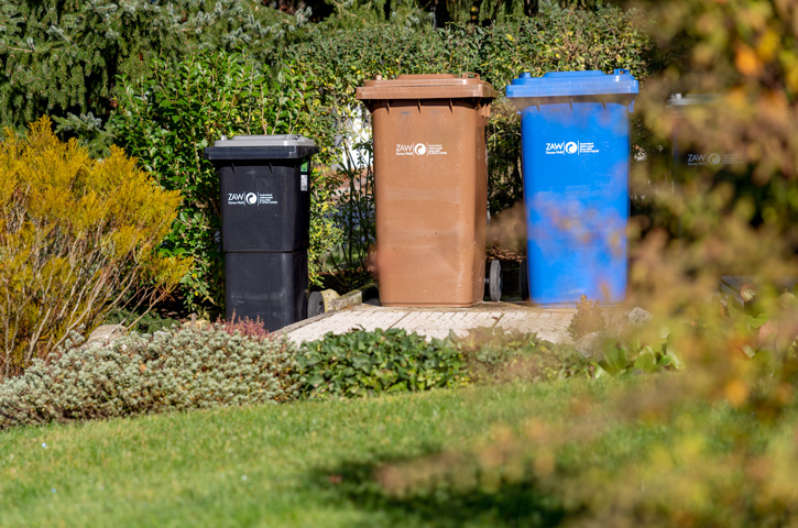 Restmülltonne, Biotonne und Papiertonne stehen nebeneinander